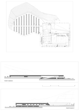 disegno3